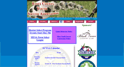 Desktop Screenshot of ecysa.org